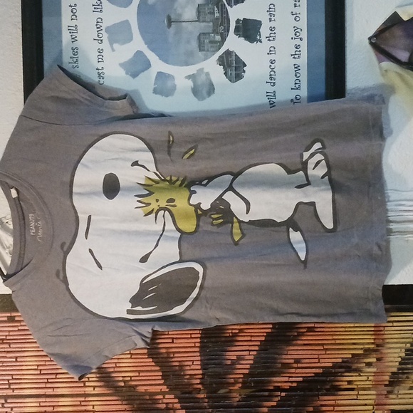 Peanuts Gray Snoopy and Woodstock Tee - Picture 1 of 4